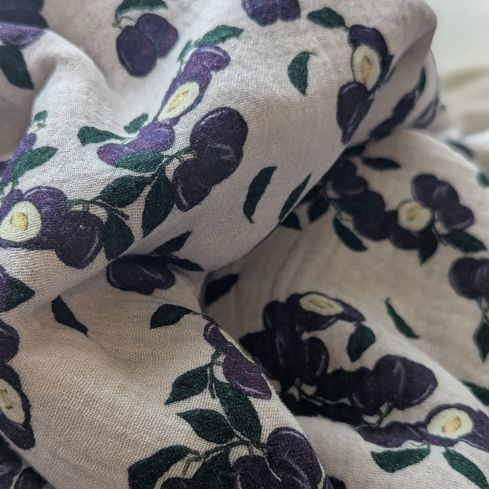 Lange Prunes Sauvages – Image 3