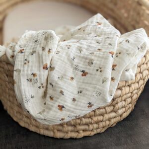 Maxi Lange Isaé_pro